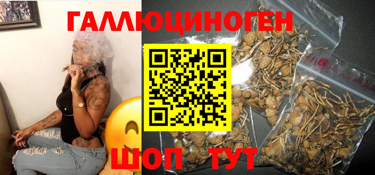 Медногорск  Галлюциногенные грибы GOLDEN TEACHER  Вход с VPN  Галлюциногенные грибы мицелий 