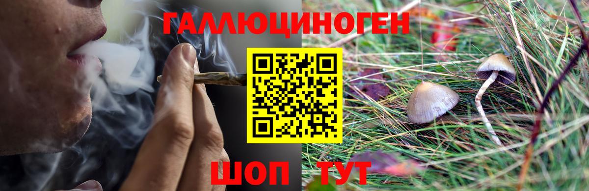 Галлюциногенные грибы GOLDEN TEACHER Медногорск
